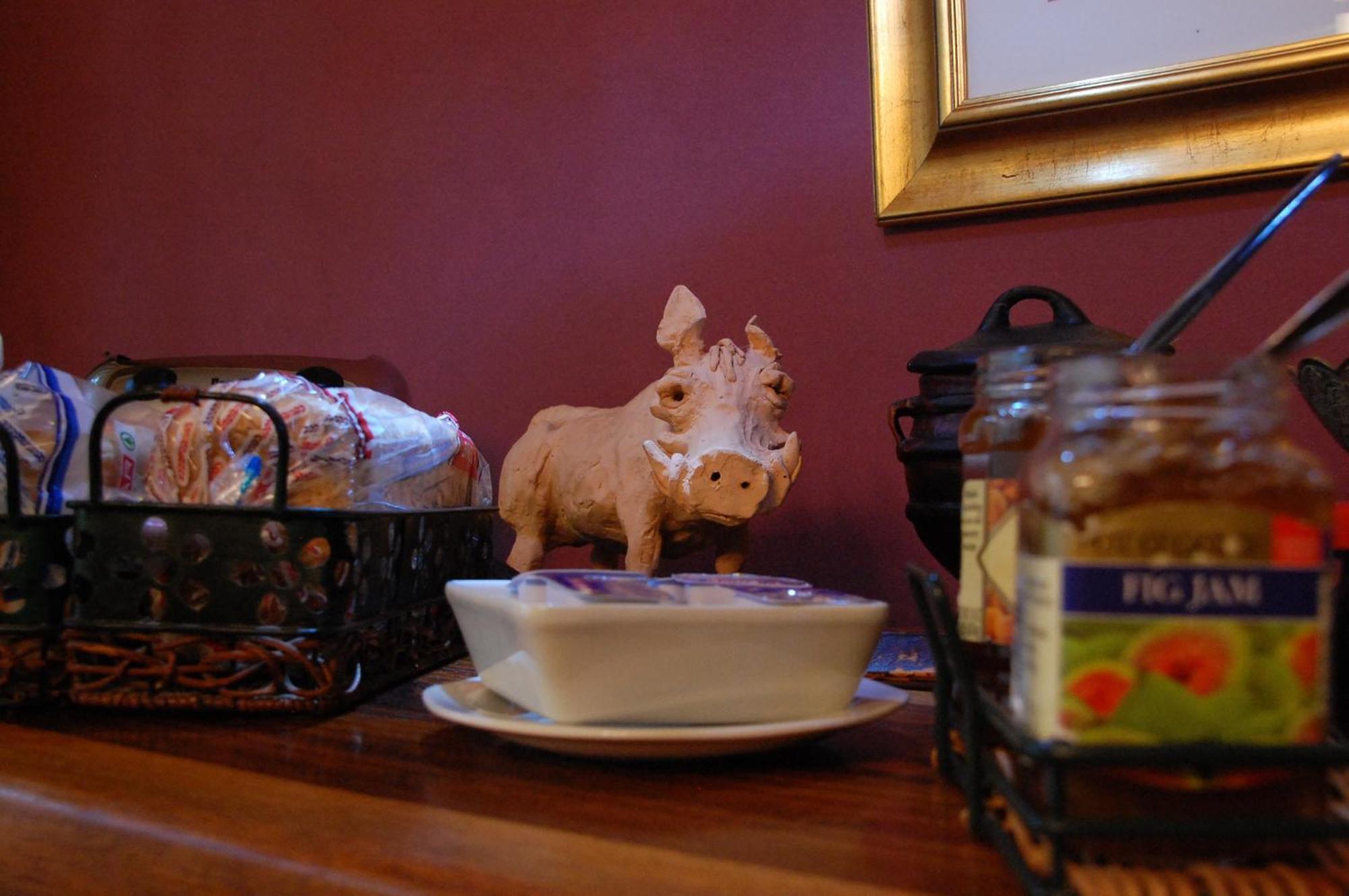 Bush Pillow Guest House Otjiwarongo Dış mekan fotoğraf